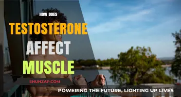 Unleashing Strength: The Impact of Testosterone on Muscle Growth