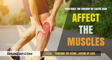The Impact of Lactic Acid Buildup on Muscle Performance and Recovery