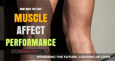 Unleashing Power: The Calf Muscle's Impact on Athletic Performance