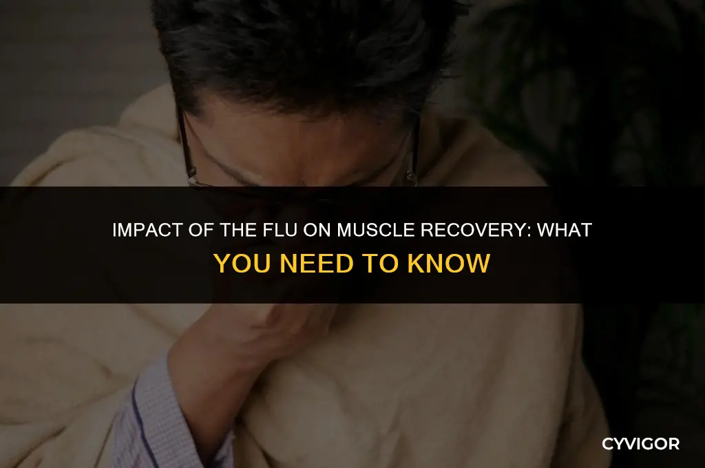 how does the flu affect muscle recovery