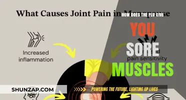 Why the Flu Causes Muscle Aches: Understanding the Painful Connection