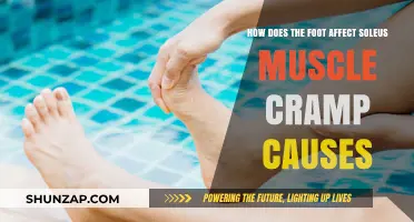 Foot-Soleus Link: Understanding Muscle Cramp Causes
