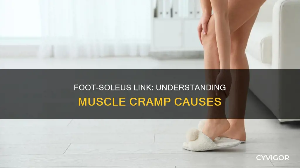 how does the foot affect soleus muscle cramp causes