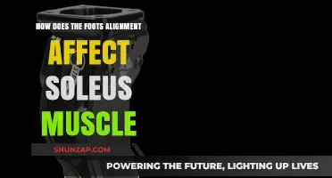 Unveiling the Impact of Foot Alignment on Soleus Muscle Health