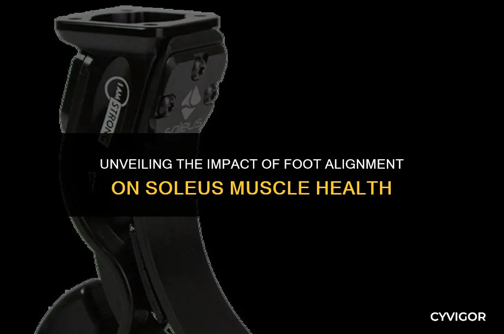 how does the foots alignment affect soleus muscle