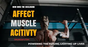 Unveiling the Impact of Occlusion on Muscle Activity: A Deep Dive