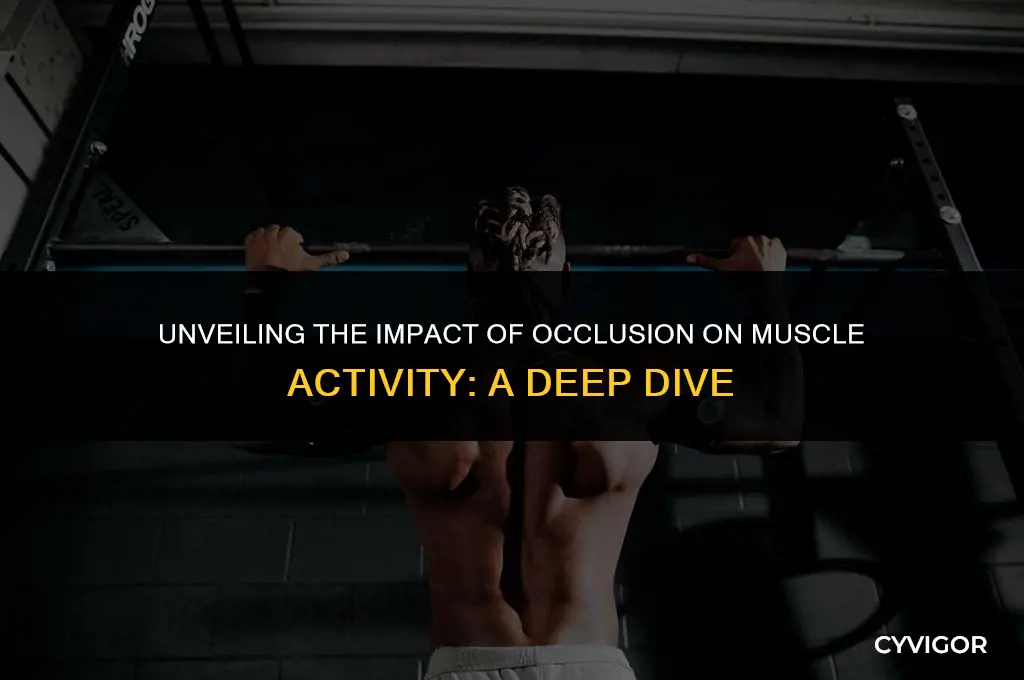 how does the occlusion affect muscle acitivty