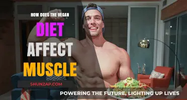 Plant-Powered Strength: The Impact of Vegan Diets on Muscle Health