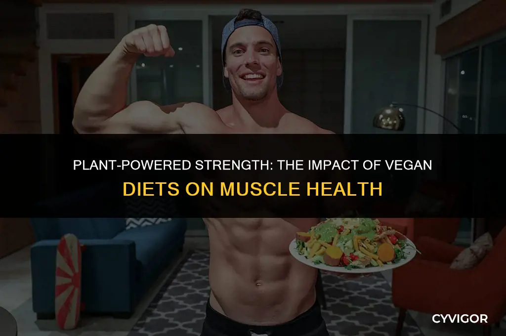 how does the vegan diet affect muscle