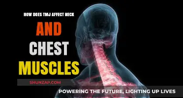 Exploring the Impact of TMJ on Neck and Chest Muscles