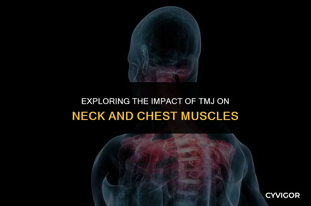 how does tmj affect neck and chest muscles