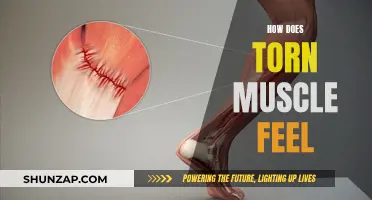 Understanding the Pain and Recovery of Torn Muscles