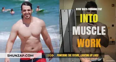 Transforming Fat to Muscle: Understanding the Science Behind Body Recomposition