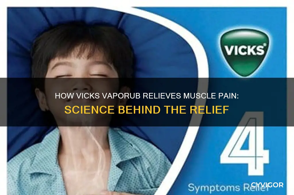 how-vicks-vaporub-relieves-muscle-pain-science-behind-the-relief-cyvigor