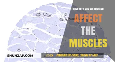 Exploring the Impact of Von Willebrand on Muscular Health