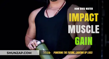 Hydration's Role in Muscle Growth: Water's Impact on Strength Gains