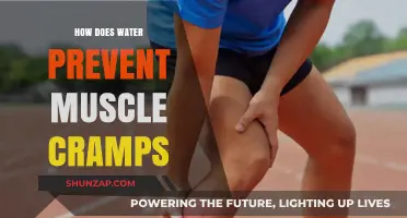 Hydration and Muscle Health: Preventing Cramps Naturally