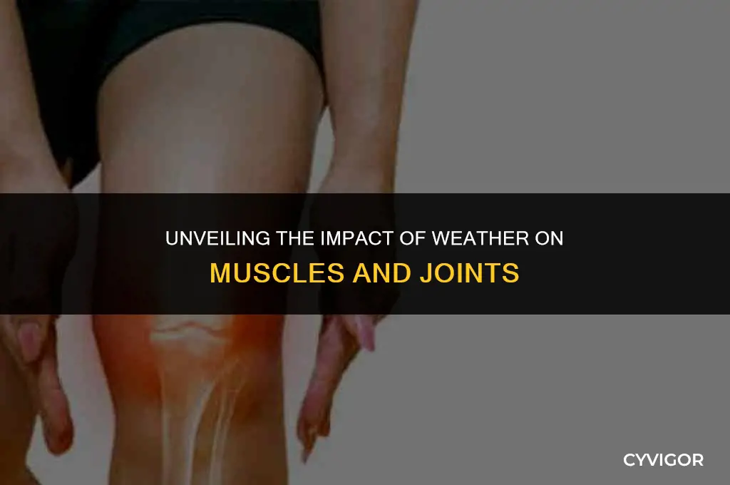 how does weather affect muscles and joints