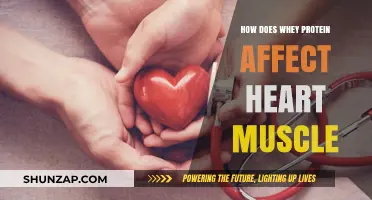 The Impact of Whey Protein on Heart Muscle Health