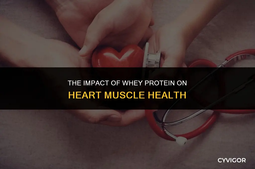 how does whey protein affect heart muscle