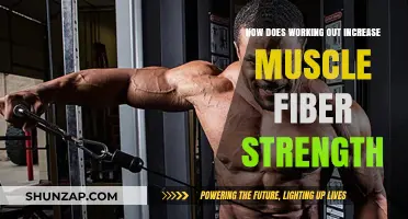 Boosting Muscle Fiber Strength: The Science Behind Effective Workouts