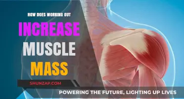 How Working Out Boosts Muscle Growth: Science Behind Mass Gain