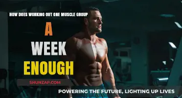 Is One Muscle Group Per Week Enough for Optimal Results?