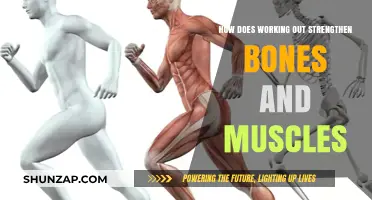 Exercise Builds Stronger Bones and Muscles: The Science Behind It