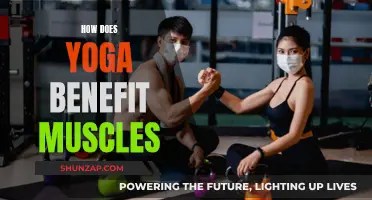 Yoga's Muscle Benefits: Flexibility, Strength, and Tone