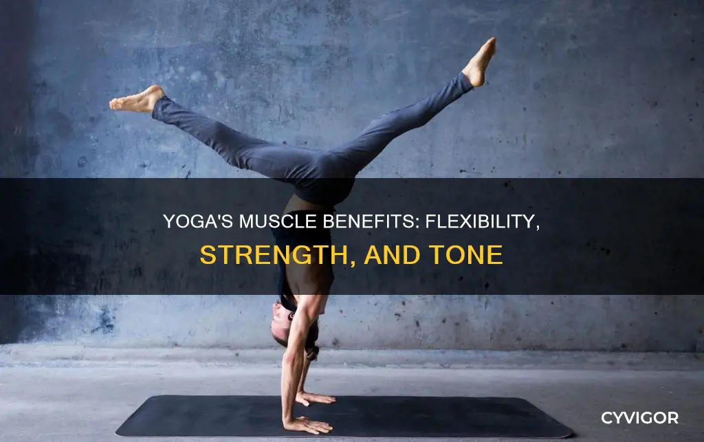 how does yoga benefit muscles