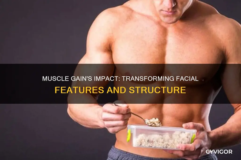 how does your face change as you gain muscle