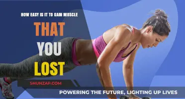 Regaining Lost Muscle: How Easy Is It to Rebuild Strength?