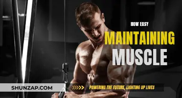Maintaining Muscle: Easier Than You Think