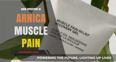 Arnica for Muscle Pain: Uncovering Its Effectiveness and Benefits