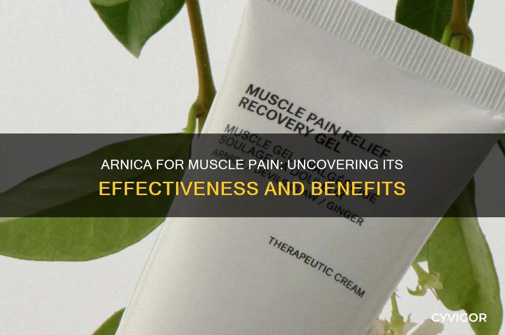 how effective is arnica muscle pain