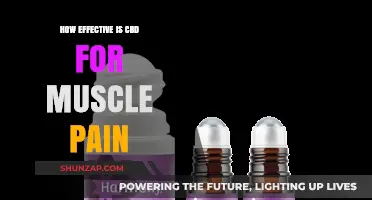 CBD for Muscle Pain: Uncovering Its Effectiveness and Relief Potential
