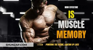 Muscle Memory: Effective or Overhyped?