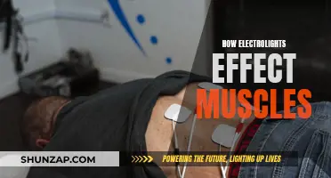 Electrolights: Muscle Stimulation and its Effects