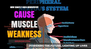 Neuropathy and Muscle Weakness: Understanding the Connection