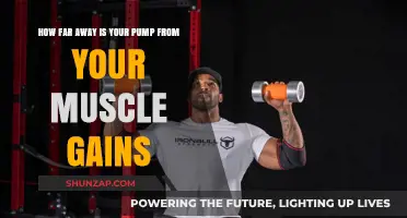 Pump to Gains: Distance Between Your Workout and Muscle Growth