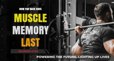 Exploring the Longevity of Muscle Memory: A Comprehensive Guide