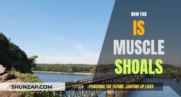Muscle Shoals: A Journey to the Heart of Music