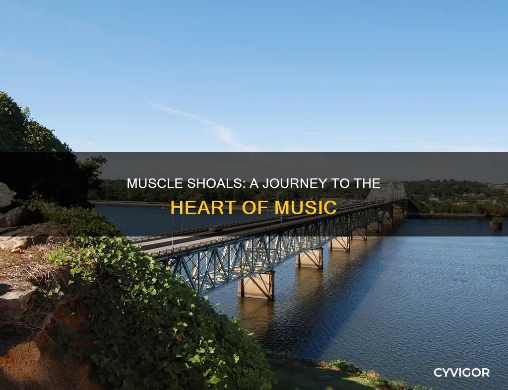 how far is muscle shoals