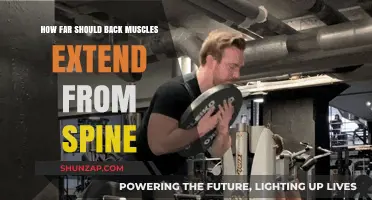 Exploring the Ideal Range of Back Muscle Extension from the Spine
