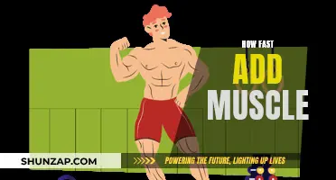 Building Muscle Fast: Effective Strategies for Quick Results