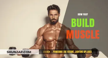 Rapid Muscle Growth: A Comprehensive Guide to Building Mass Quickly