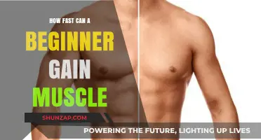 Muscle Building for Beginners: Realistic Gains and Timelines