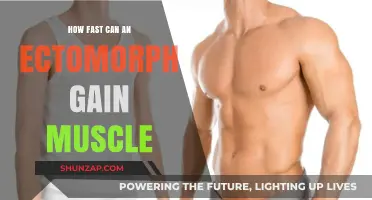 Ectomorph Muscle Gain: Accelerating Growth Strategies for Slim Frames