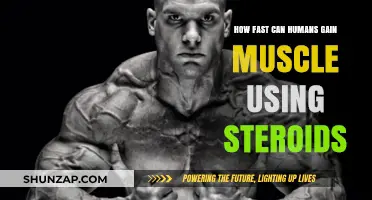 Steroids and Muscle Growth: Accelerating Human Physique Transformation