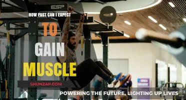Muscle Growth Timeline: Realistic Expectations for Building Strength Fast